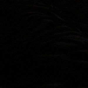 Meet your Posher, Brionna paige